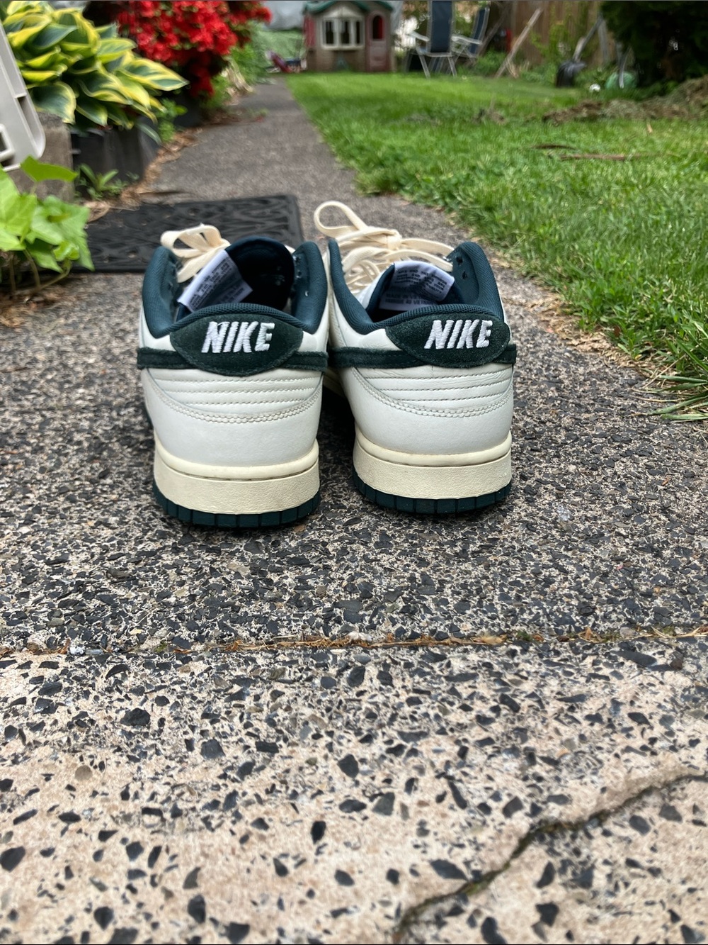 Dunk lo - Picture 4 of 5